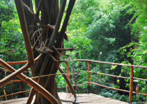 Skab Dit Drømmeudendørsrum med en Træterrasse